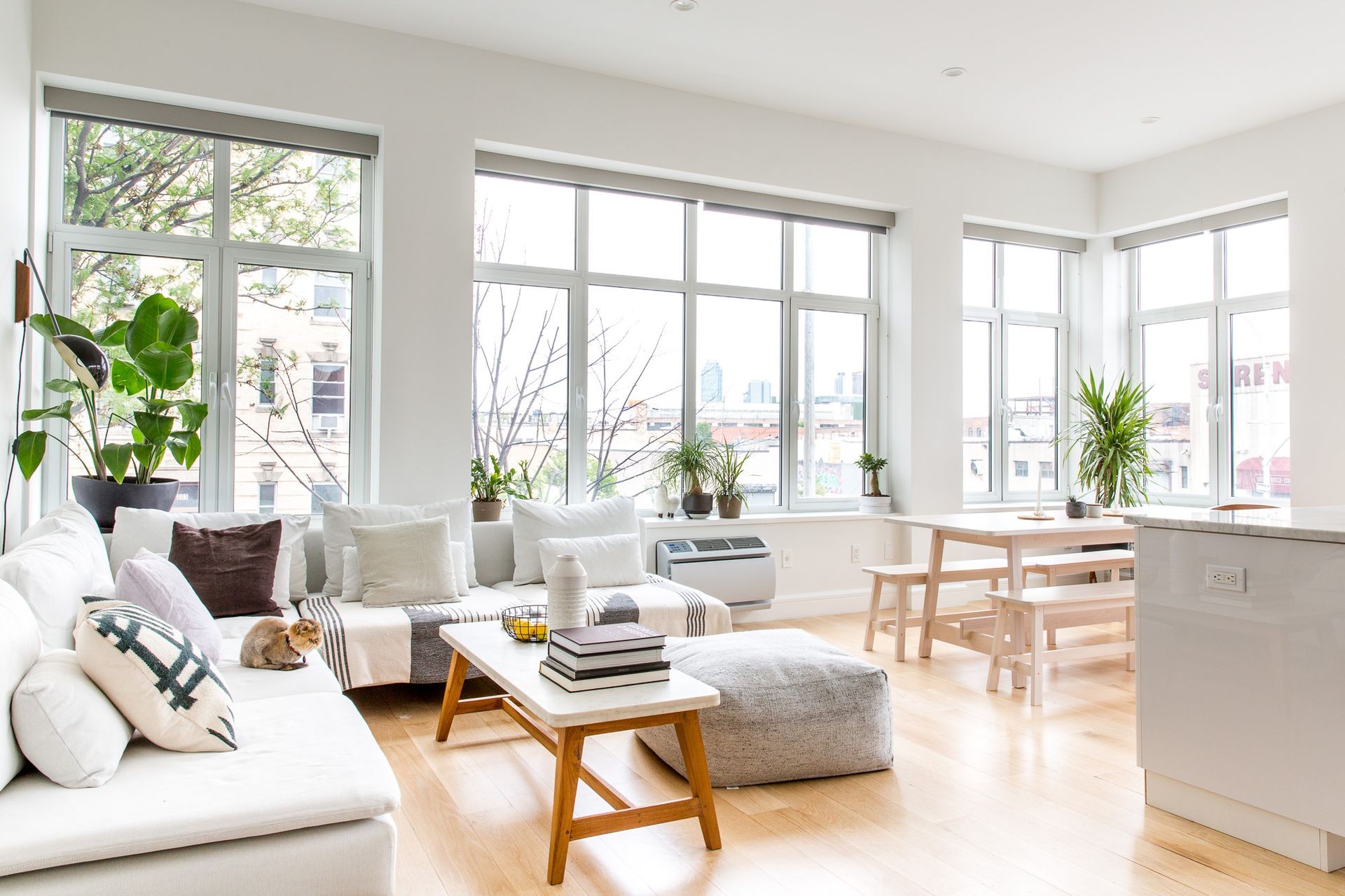 Bright living room with large windows, white sofa, plants, and wooden furniture.